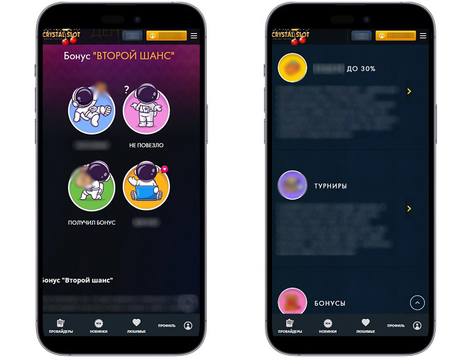 Бонусная система