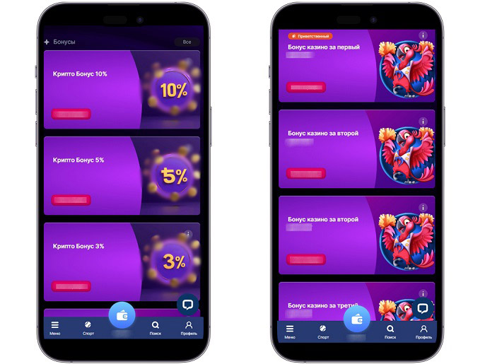 Бонусная программа