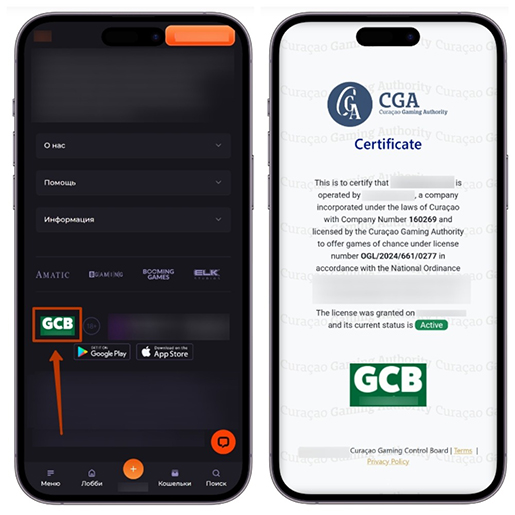 Проверка лицензии